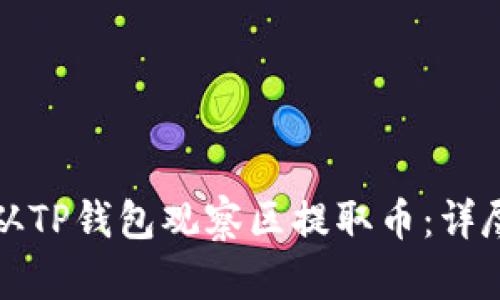 如何从TP钱包观察区提取币：详尽指南