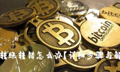 TP钱包转账转错怎么办？详细步骤与解决方案