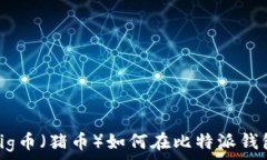     深度解析：Pig币（猪币