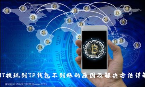 HT提现到TP钱包不到账的原因及解决方法详解