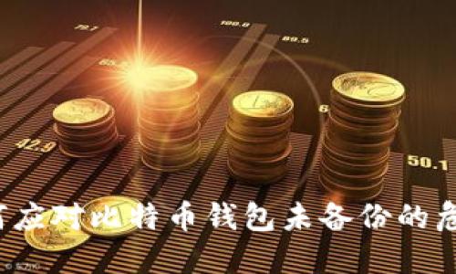 如何应对比特币钱包未备份的危机？