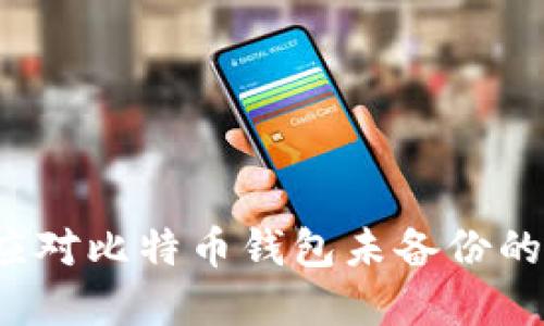 如何应对比特币钱包未备份的危机？