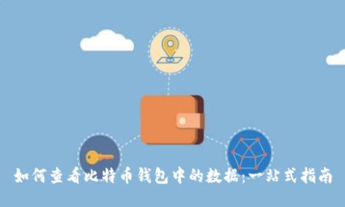 如何查看比特币钱包中的数据：一站式指南