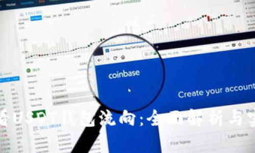 如何查看USDT钱包流向：全面解析与实用技巧