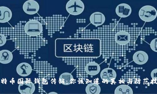 比特币国际钱包传销：你该知道的真相与防范技巧