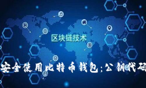 如何安全使用比特币钱包：公钥代码详解