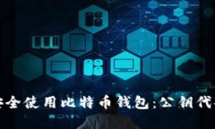 如何安全使用比特币钱包