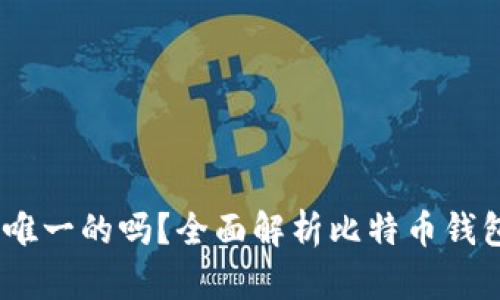 比特币钱包：是唯一的吗？全面解析比特币钱包的种类与特性
