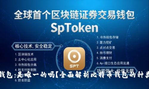 比特币钱包：是唯一的吗？全面解析比特币钱包的种类与特性