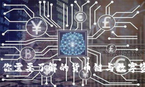 TP钱包：你需要了解的货币链与数字资产管理