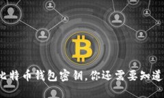 除了比特币钱包密钥，你