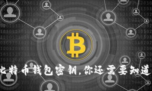 除了比特币钱包密钥，你还需要知道什么？