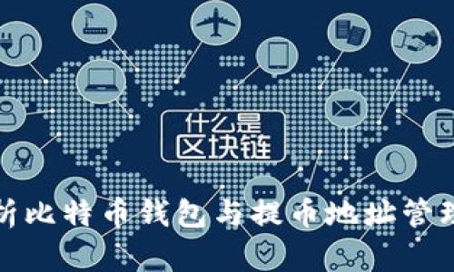 全面解析比特币钱包与提币地址管理的技巧