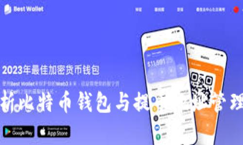 全面解析比特币钱包与提币地址管理的技巧