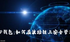 深入剖析TP钱包：如何在波