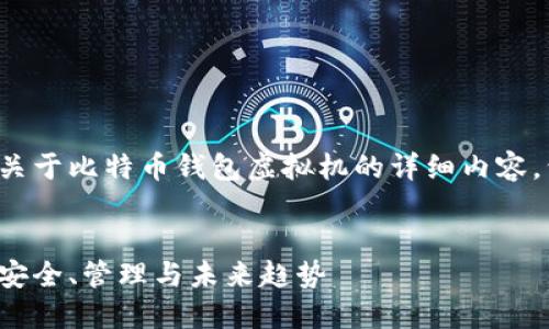 根据提示，我将提供一个关于比特币钱包虚拟机的详细内容，包含、关键词及具体内容：


探索比特币钱包虚拟机：安全、管理与未来趋势