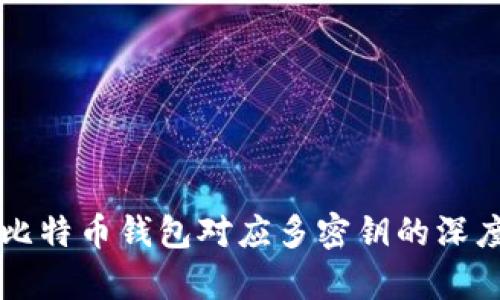 一个比特币钱包对应多密钥的深度解析