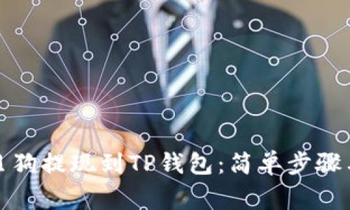 如何将宝贝狗提现到TP钱包：简单步骤与注意事项