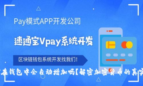 USDT在钱包中会自动增加吗？解密加密货币的真实世界