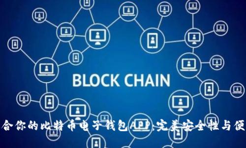 如何选择适合你的比特币电子钱包APP：完美安全性与便利性的结合