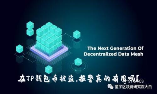 在TP钱包币被盗，报警真的有用吗？