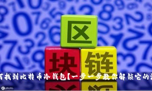 如何找到比特币冷钱包？一步一步教你解锁它的潜能