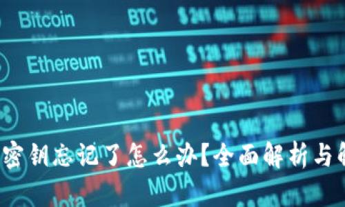  TP钱包密钥忘记了怎么办？全面解析与解决方案