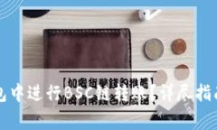 如何在TP钱包中进行BSC链转