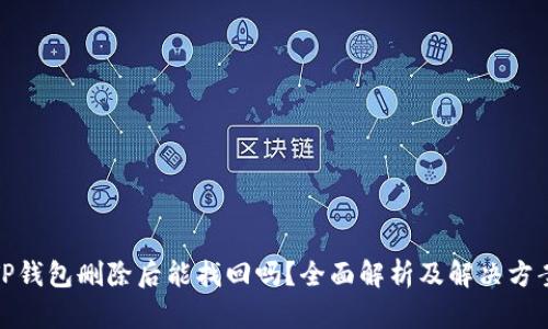 TP钱包删除后能找回吗？全面解析及解决方案