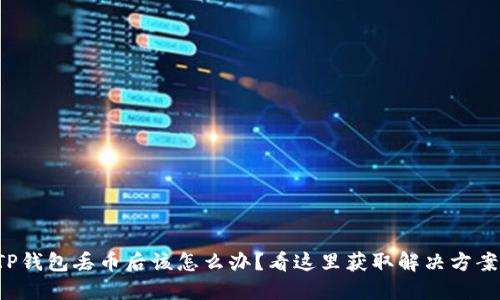 TP钱包丢币后该怎么办？看这里获取解决方案！