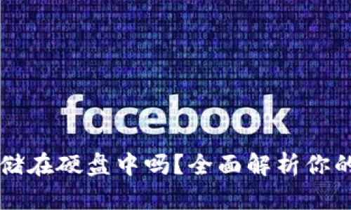 比特币钱包可以存储在硬盘中吗？全面解析你的数字资产保存方式