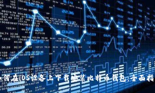 如何在iOS设备上下载安装比特币钱包：全面指南