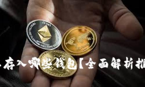 USDT可以存入哪些钱包？全面解析推荐的选择