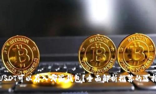 USDT可以存入哪些钱包？全面解析推荐的选择