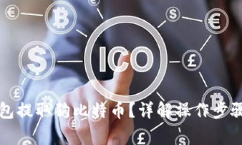 如何用TP钱包提取狗比特币？详解操作步骤与注意事项