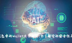 虚拟币钱包中的wallet文件