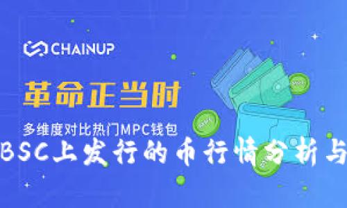 TP钱包在BSC上发行的币行情分析与投资建议