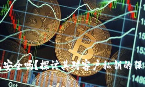TP钱包安全吗？探讨其对客户私钥的保护机制