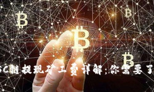 TP钱包BSC链提现矿工费详解：你需要了解的一切