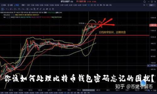 你该如何处理比特币钱包密码忘记的困扰？