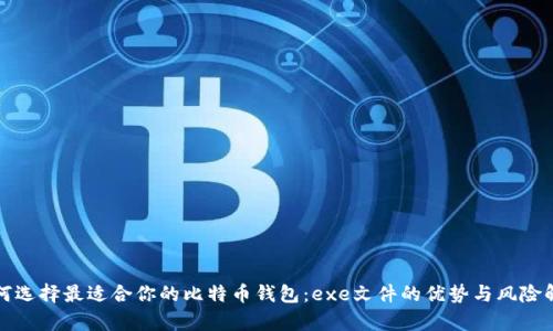 如何选择最适合你的比特币钱包：exe文件的优势与风险解析