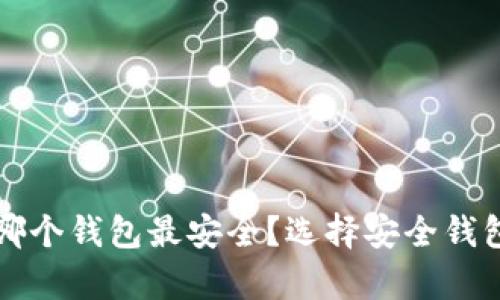 比特币存放哪个钱包最安全？选择安全钱包的终极指南