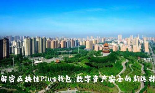 解密区块链Plus钱包：数字资产安全的新选择