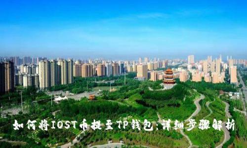 如何将IOST币提至TP钱包：详细步骤解析