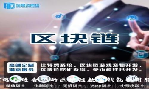 如何选择适合你的区块链数字钱包租用服务？