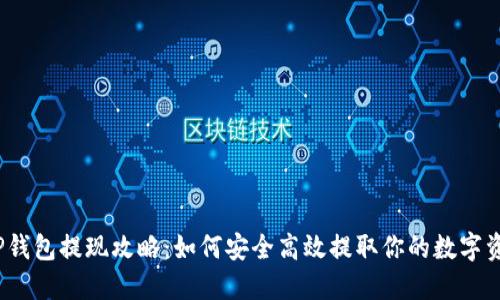 : TP钱包提现攻略：如何安全高效提取你的数字资产？
