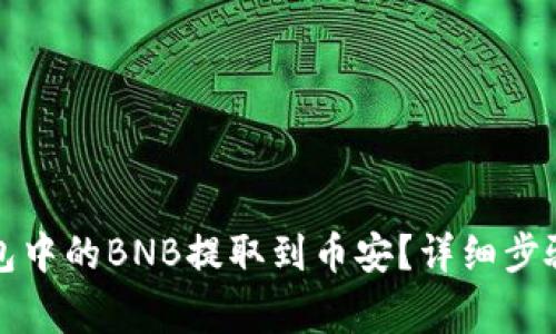 如何将TP钱包中的BNB提取到币安？详细步骤与注意事项