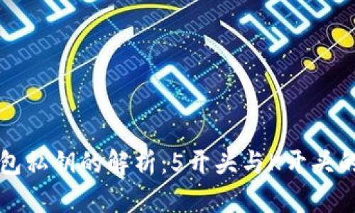 比特币钱包私钥的解析：5开头与K开头的深度解析