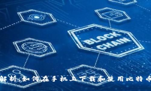 全面解析：如何在手机上下载和使用比特币钱包
