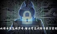 比特币钱包同步中：解决
